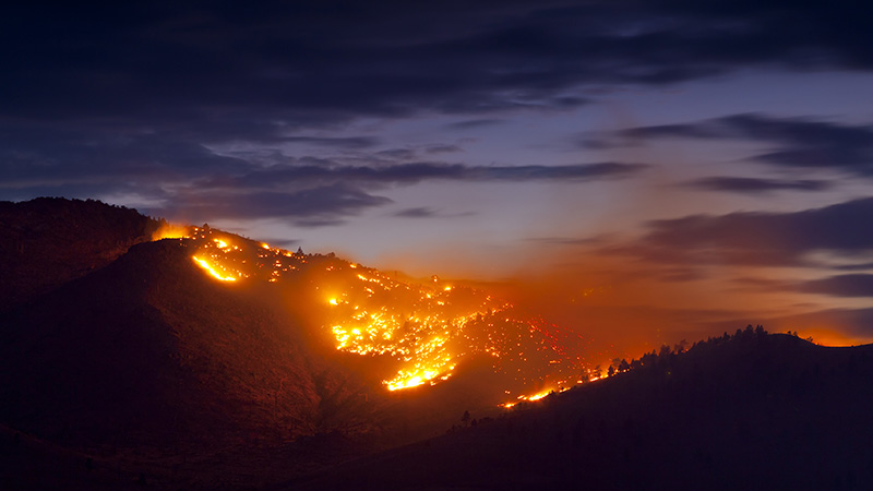 Bushfires