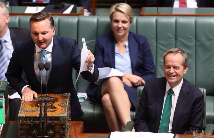 Chris Bowen, Parliament