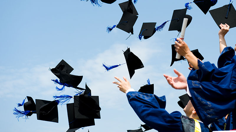 Less than a third of advice graduates entering industry