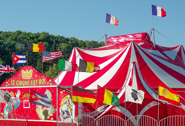 Financial services the ‘biggest circus tent in town’: CPA