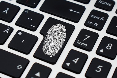 Finger print, cyber crime, identity theft