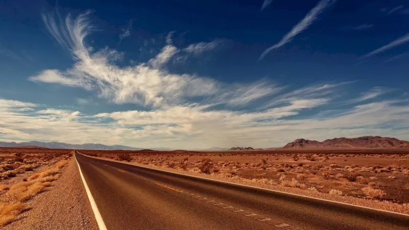 arid environment
