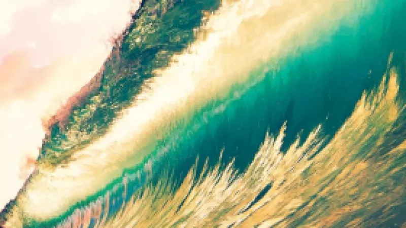 Tsunami, CGT transitional rules