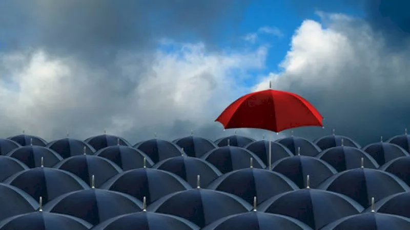 umbrellas