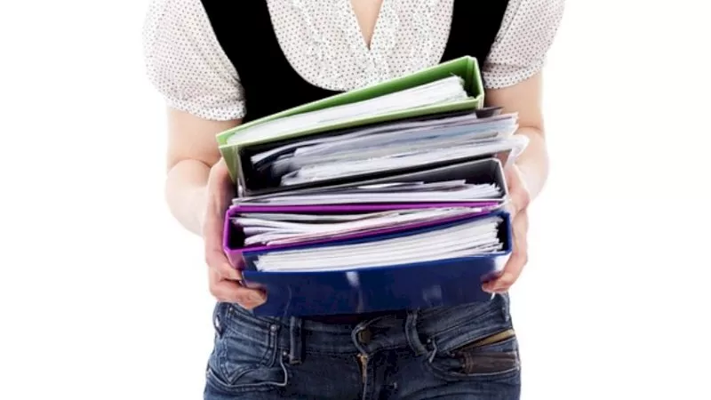 audit documents 382
