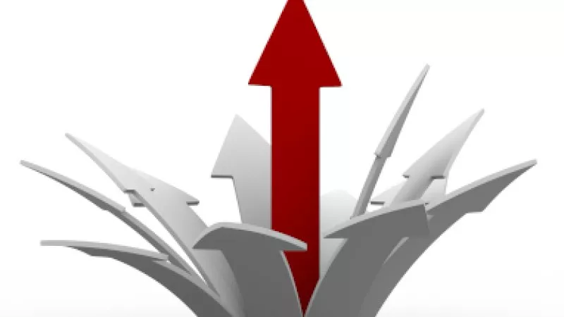 expansion plans with new brand