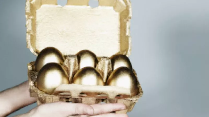 golden opportunities