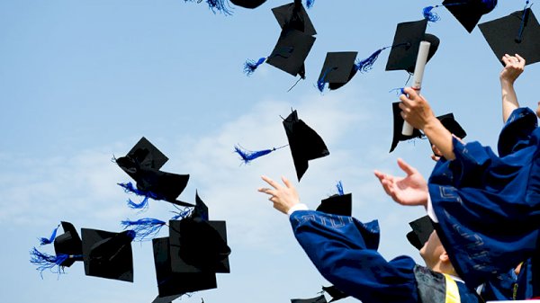 Less than a third of advice graduates entering industry
