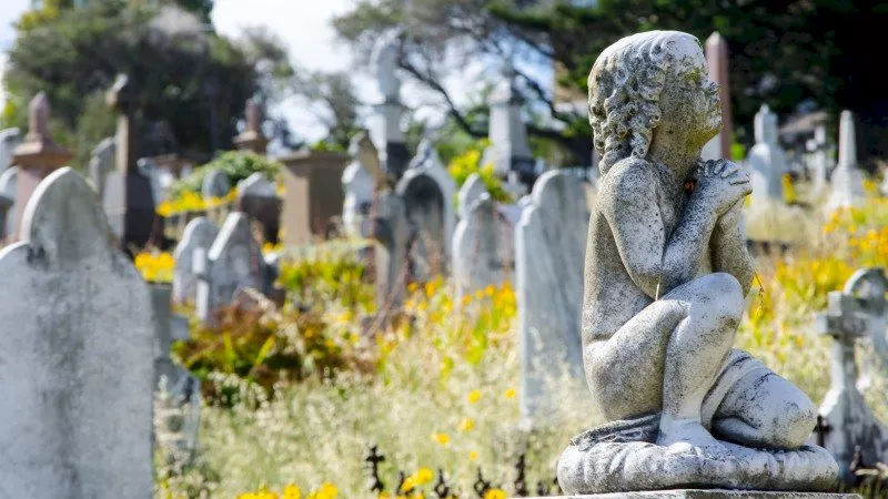 deceased estate taxes