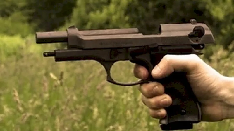 gun