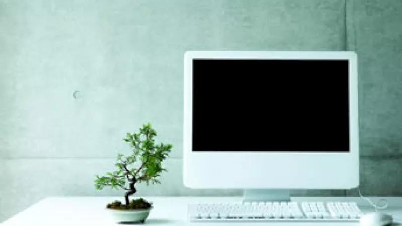 mac book and bonsai 345x216