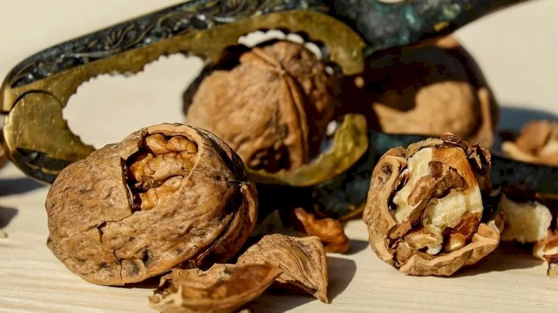 LRBA measures ‘cracking a nut with a sledgehammer’