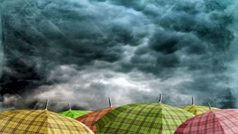 umbrellas in a storm 345x216